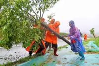 Typhoon Noul slams ashore