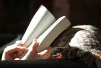 New AI tools let readers talk to books