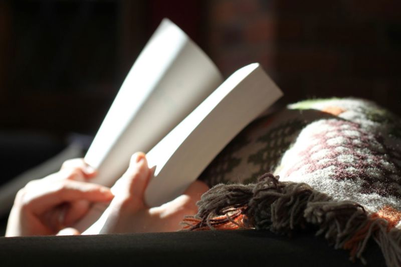 New AI tools let readers talk to books