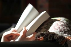 New AI tools let readers talk to books