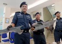 Bid to smuggle shark fins worth RM8.36mil foiled