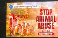 Justice for ‘Wang Wang’: KL billboards highlight global campaign against animal cruelty
