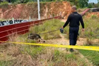 Premature baby found dumped in bushes in Penampang