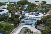 Bankrupt theme park operator resorts to selling dolphins