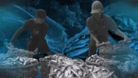 Fishermen press Marcos to protect the seas amid fishing crisis