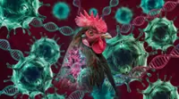 Australia confirms local transmission of H5 bird flu