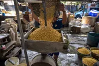 Jakarta soybean output down to 8% of demand