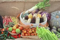 Empowering food security for tomorrow