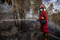 One killed as wildfires flare across Indonesia