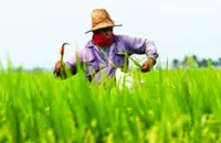 MSMEs' GDP grew 5.7% in 2025, outpaced overall economy- DOSM