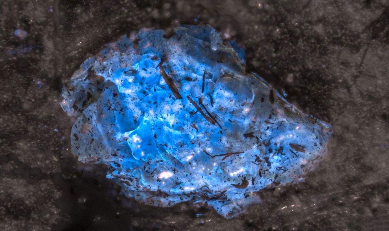 China team unearths world’s oldest amber, hidden in ancient Xinjiang coal seam - The Star