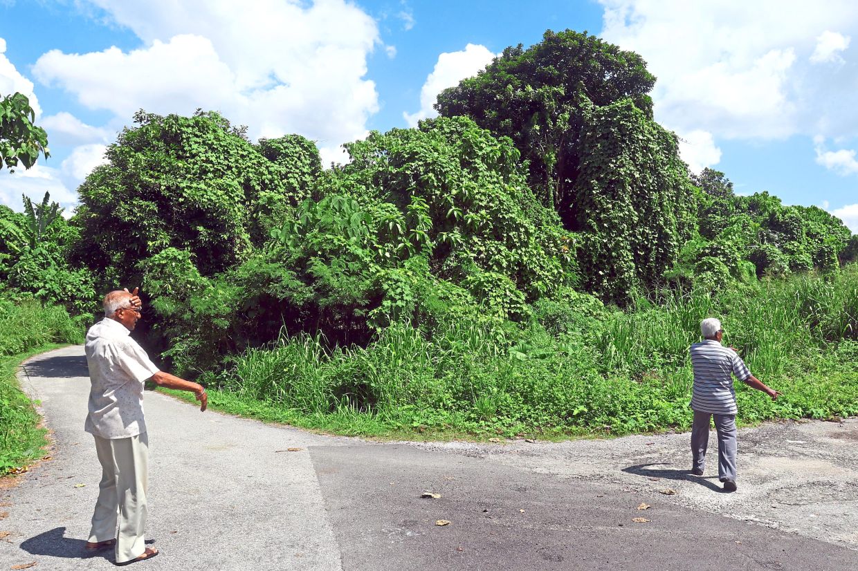 Hardyal (left) is exasperated by overgrown vegetation on vacant private land in Taman Kim Fah, fearing it has become a breeding ground for mosquitoes and snakes.
