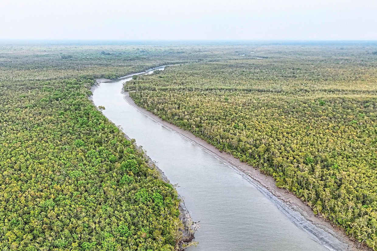 Shrinking wild: An aerial view of a river winding through the Sundarbans at Dacope in Bangladesh’s Khulna district. Known locally as ‘Goni Tiger’, Goni (pic, below) has devoted his life to promoting co-existence between the big cats and the people living on the forest’s edge. — AFP