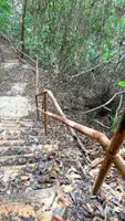 Penang’s Monkey Beach park trail in deplorable condition