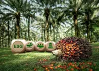 Improving sustainability score seen for ESG sector