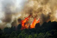 Climate change made 'fire-prone' weather conditions more likely in Spain and France, scientists say
