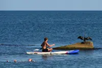 Crimea's tourism industry collapsing because of drone attacks