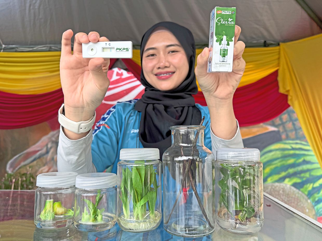 Nur Izyan showing a banana plant disease test kit and stevia drops. In front of her are products developed by ACE, such as banana and vanilla plants.