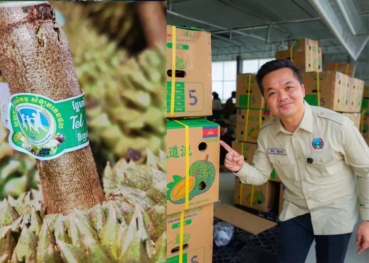 Agriculture ministry spokesperson Khim Finan proudly poses next to some of the Kingdom’s China-bound durian. - Photo: Supplied