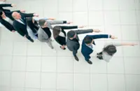 The herd mentality fallacy
