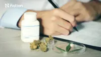 Thailand to restrict cannabis strictly to medical use
