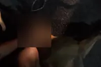 I begged group to stop hitting Rocky, says owner of killed dog