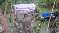 Bangladesh raid uncovers suspected poison-linked shrimp processing network in Sundarbans