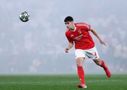 Soccer-Bournemouth sign Portugal centre-back Silva from Benfica