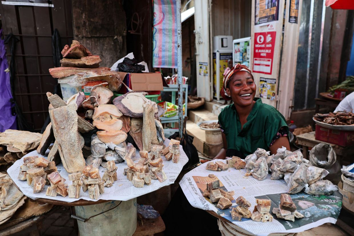 A woman sits near pieces of guitarfish are displayed for sale at a market in Mankessim.