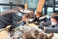 Over 2000 volunteers helping to restore massive skeleton of prehistoric predator