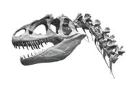 Fossils challenge assumptions on how animals adapted to land