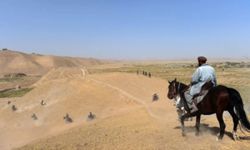 14 Afghan migrants found dead in Afghanistan desert after trek to Iran