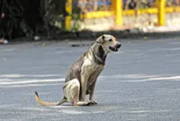 Compassion cannot be legislated