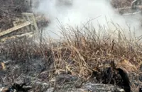 Forest fire breaks out near Sepang police station