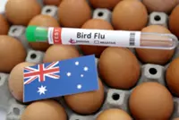 Australia confirms first mass death of seabirds from H5N1 bird flu