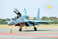 Myanmar fighter aircraft crashes after bird strike during training flight