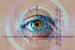 Biometric scans, outlet checks: How employers are AI proofing hiring