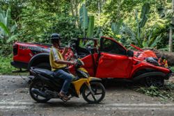 Bentong fallen tree incident: Injured five-year-old transferred to Temerloh Hospital