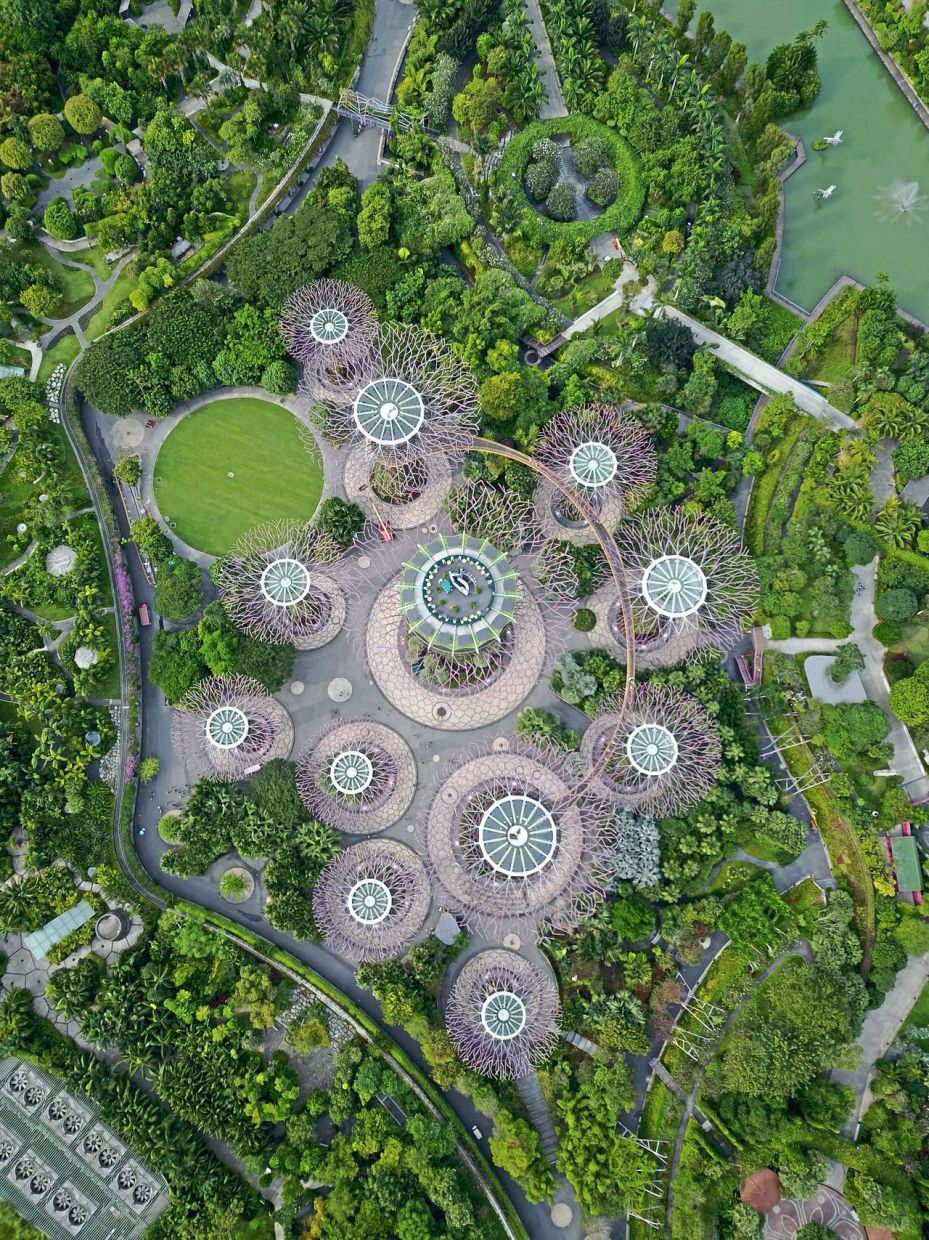 This year’s Singapore Garden Festival was held in early July at Gardens by the Bay.