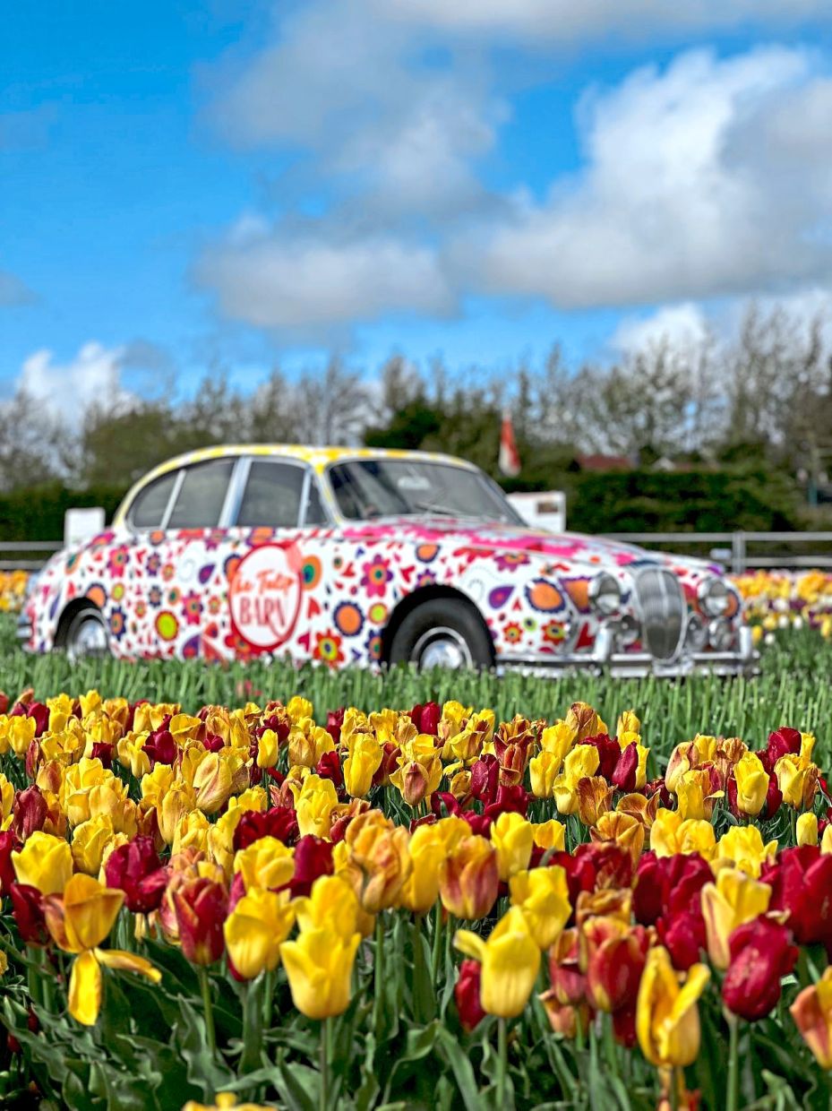 Check out the Netherlands’ annual Bloemencorso festival, usually held in April, as well as its famous Keukenhof garden.