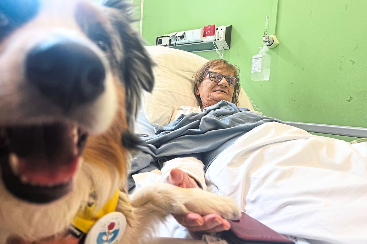 Lutka-Krawczyk holds the paw of Australian shepherd therapy dog Kluska.