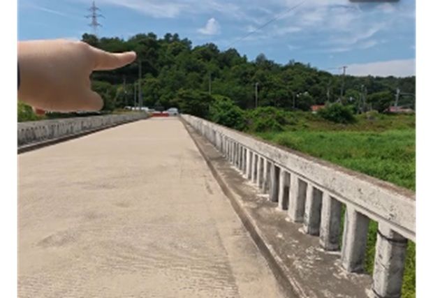 QuickCheck: Is there a bridge named after Malaysia in South Korea?