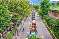 Hey flower enthusiasts, add these floral celebrations on your travel itinerary