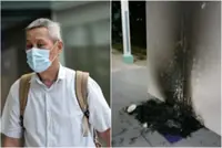 Three months’ jail for man who set fire to community cat houses at Singapore's Bukit Batok void deck