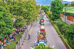 Hey flower enthusiasts, add these floral celebrations on your travel itinerary