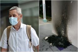 Three months’ jail for man who set fire to community cat houses at Singapore's Bukit Batok void deck