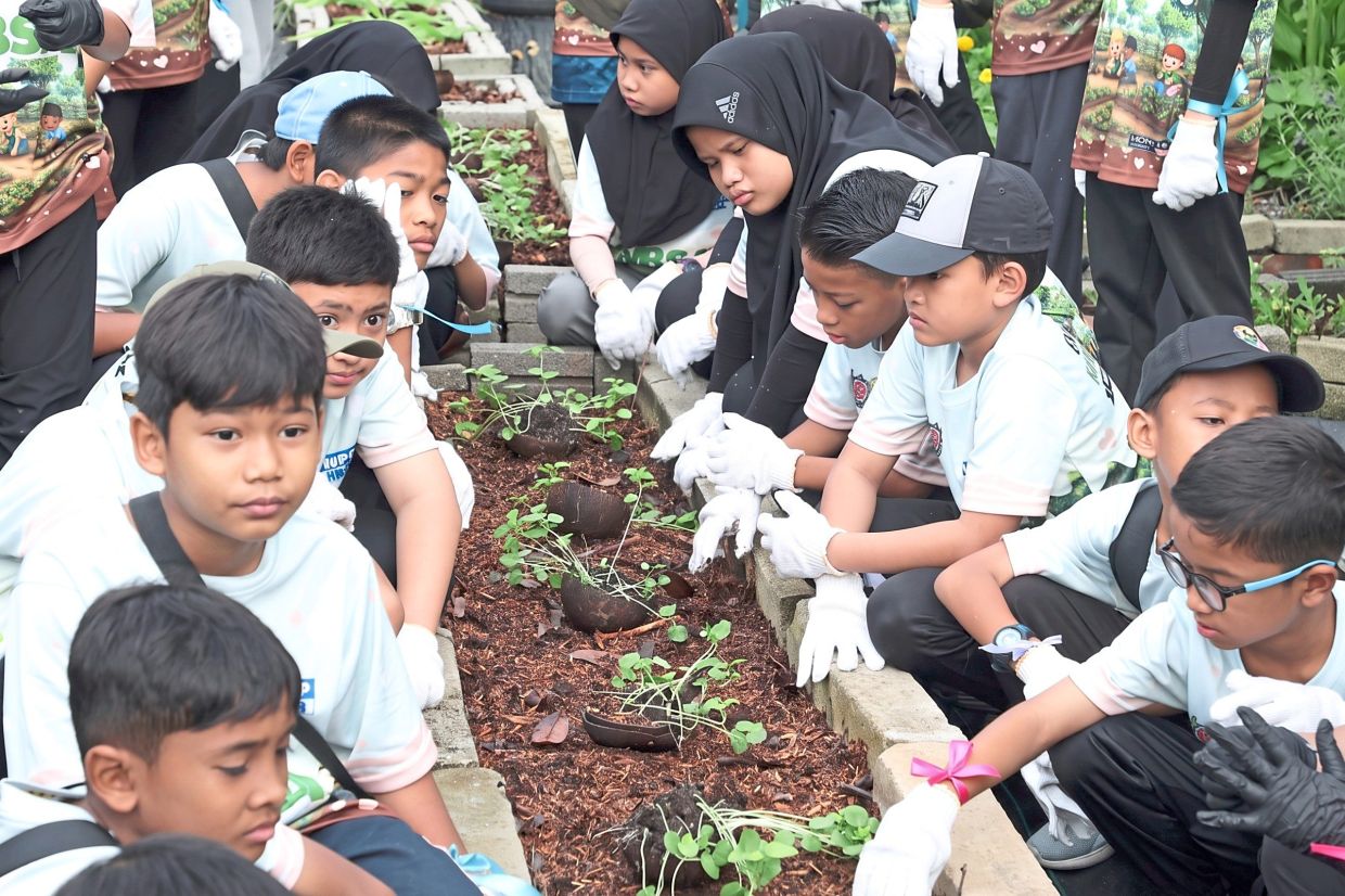 Children get early exposure to urban farming in Shah Alam 