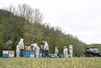 Death, mites and a closed bee lab