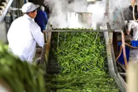 Japan’s first-half food exports reach record highs
