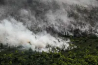 Early wildfire surge raises alarm in Indonesia